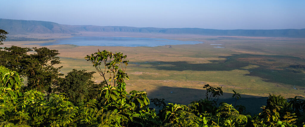 Zuka House — photo 1
