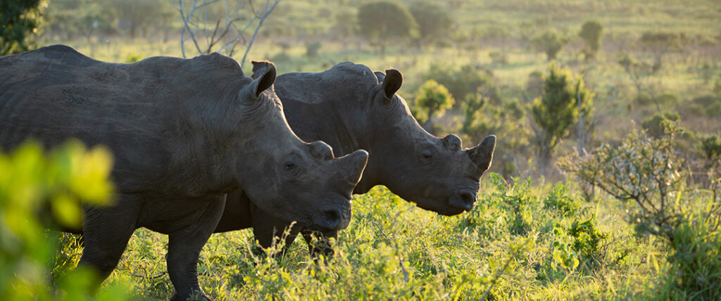 Zuka House — photo 2