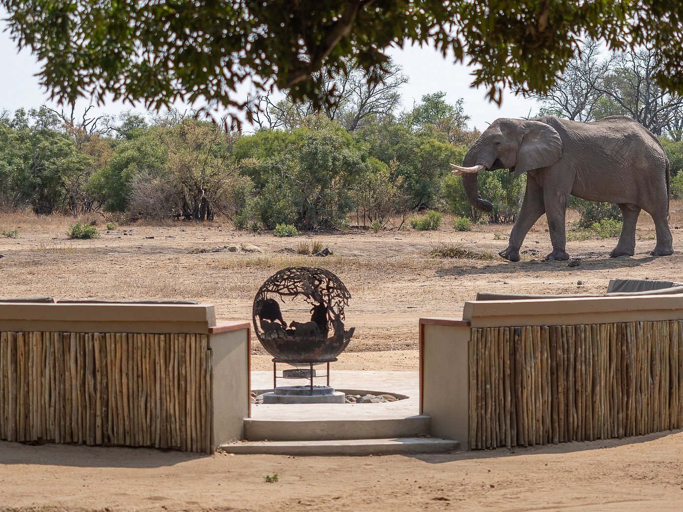 Tintswalo Safari Lodge & Manor — photo 13